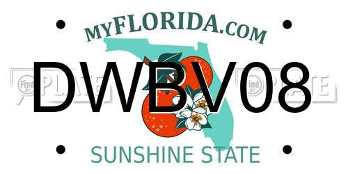 DWBV08 Florida License Plate
