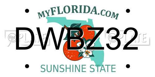 DWBZ32 Florida License Plate