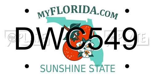 DWC549 Florida License Plate