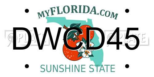 DWCD45 Florida License Plate