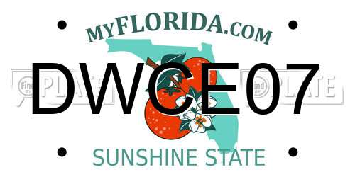 DWCE07 Florida License Plate