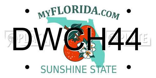 DWCH44 Florida License Plate
