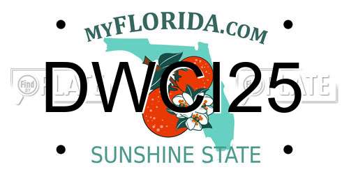 DWCI25 Florida License Plate