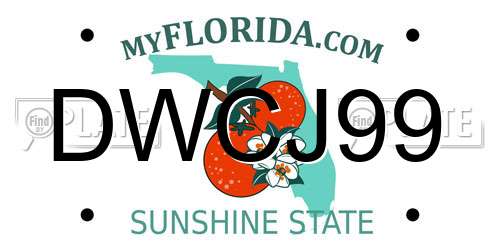 DWCJ99 Florida License Plate
