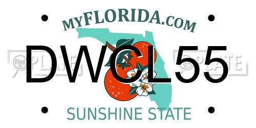 DWCL55 Florida License Plate