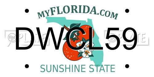 DWCL59 Florida License Plate