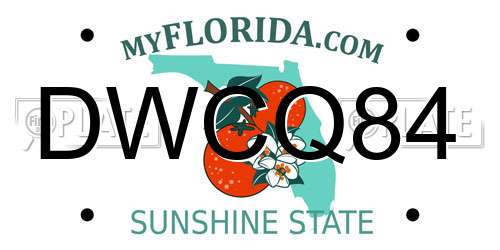 DWCQ84 Florida License Plate