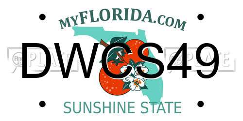 DWCS49 Florida License Plate