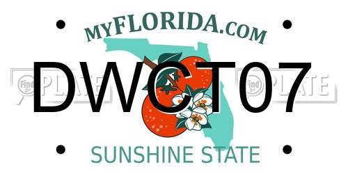 DWCT07 Florida License Plate