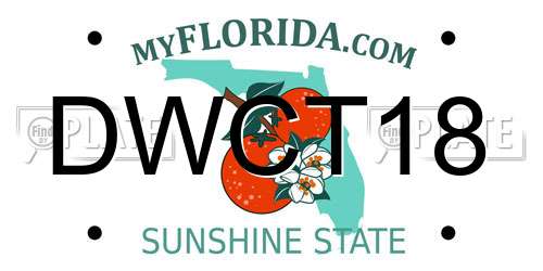 DWCT18 Florida License Plate