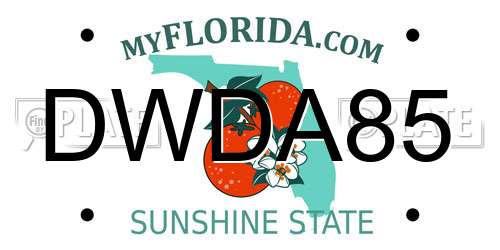 DWDA85 Florida License Plate