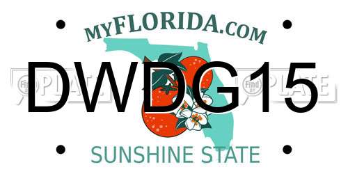 DWDG15 Florida License Plate
