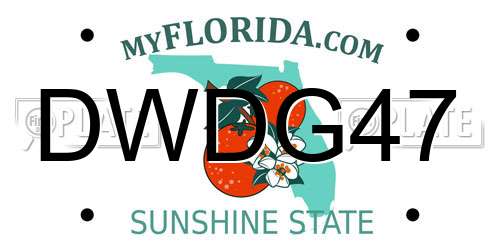 DWDG47 Florida License Plate
