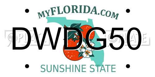 DWDG50 Florida License Plate