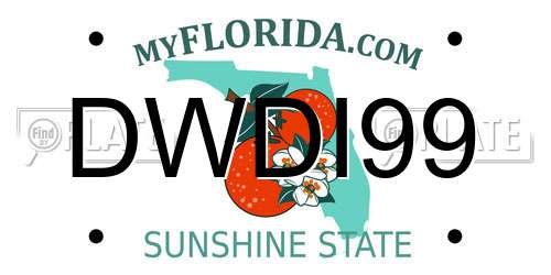 DWDI99 Florida License Plate