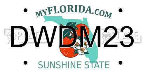 DWDM23 Florida License Plate
