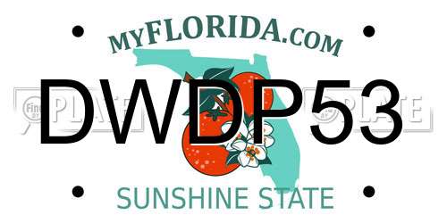 DWDP53 Florida License Plate
