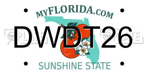 DWDT26 Florida License Plate