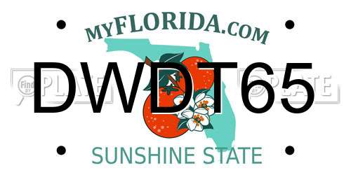 DWDT65 Florida License Plate