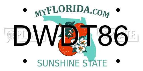 DWDT86 Florida License Plate