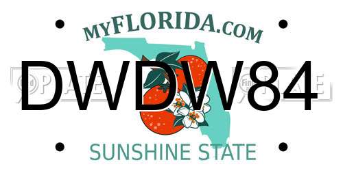 DWDW84 Florida License Plate