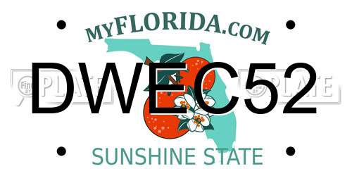 DWEC52 Florida License Plate