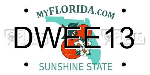 DWEE13 Florida License Plate