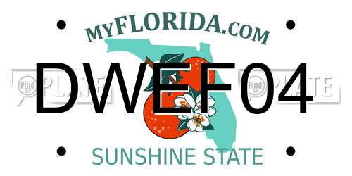 DWEF04 Florida License Plate