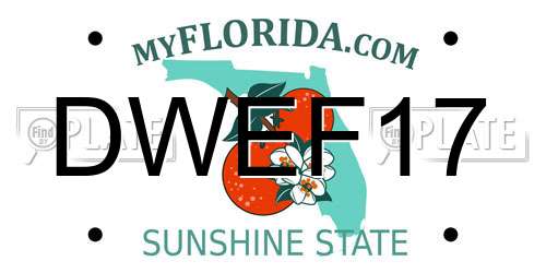 DWEF17 Florida License Plate