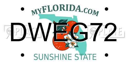 DWEG72 Florida License Plate