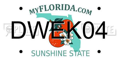 DWEK04 Florida License Plate