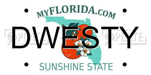 DWESTY Florida License Plate