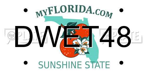 DWET48 Florida License Plate
