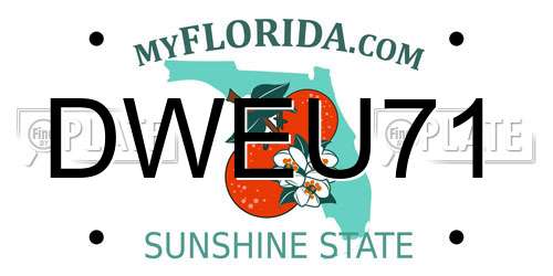 DWEU71 Florida License Plate