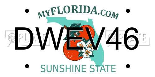 DWEV46 Florida License Plate