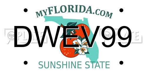 DWEV99 Florida License Plate