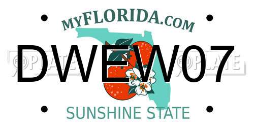DWEW07 Florida License Plate