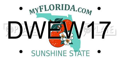 DWEW17 Florida License Plate
