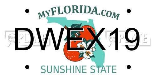 DWEX19 Florida License Plate