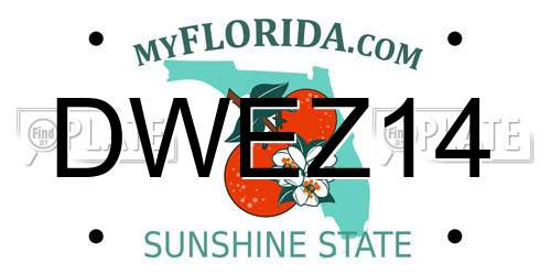 DWEZ14 Florida License Plate