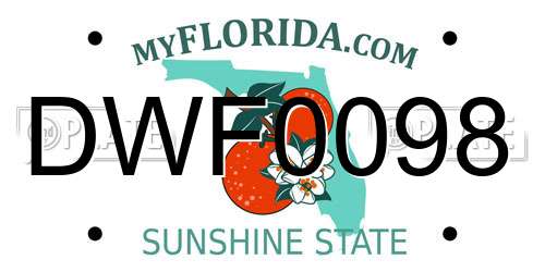 DWF0098 Florida License Plate