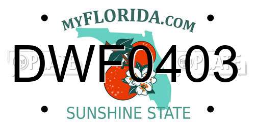 DWF0403 Florida License Plate
