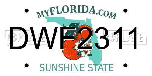DWF2311 Florida License Plate