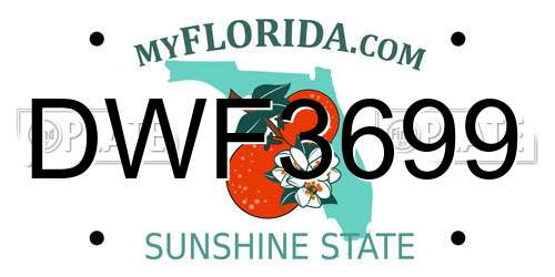 DWF3699 Florida License Plate