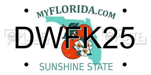 DWFK25 Florida License Plate