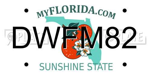 DWFM82 Florida License Plate