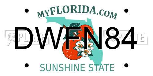 DWFN84 Florida License Plate