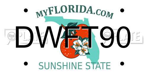 DWFT90 Florida License Plate