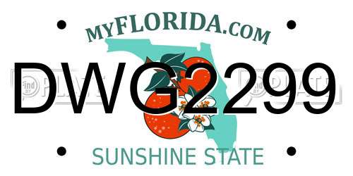 DWG2299 Florida License Plate