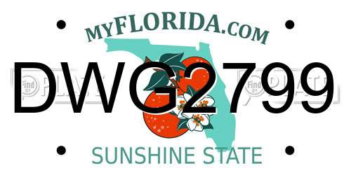 DWG2799 Florida License Plate